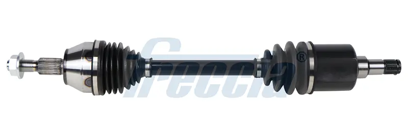 DS161013 Freccia