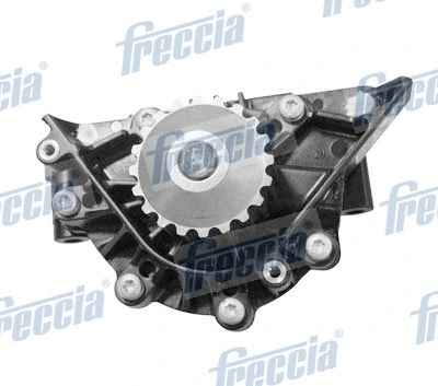 WP0567 Freccia