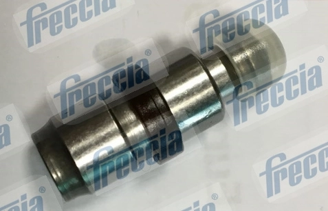 PI060056 Freccia