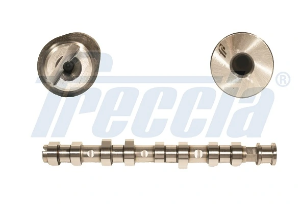 CM052137 Freccia
