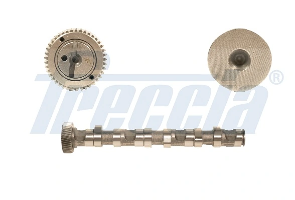 CM052122 Freccia