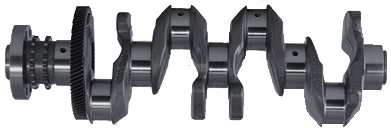 CK001800 Ipsa