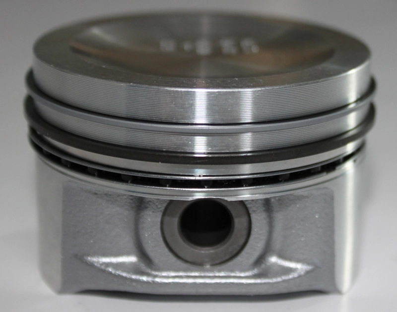 PI006101 Ipsa