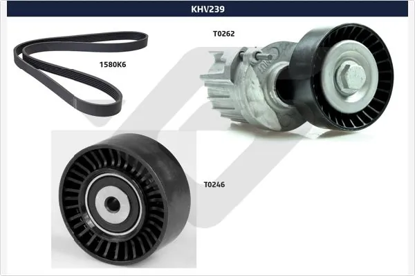 Correa de transmisión Seat Exeo  familiar comprar en España