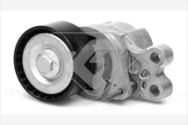 Rodillo tensor Nemo  furgoneta (2009-2026) original desde 16,15 €
