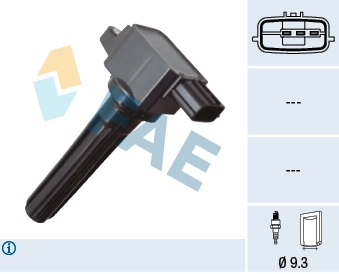 80481 FAE