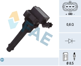 80369 FAE