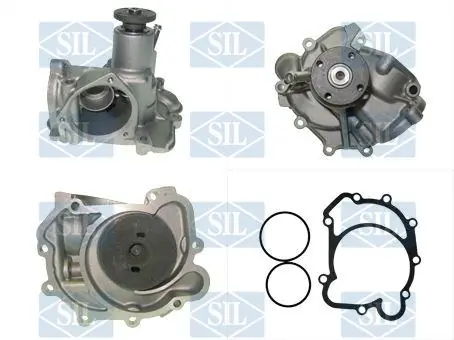 PA954 SIL