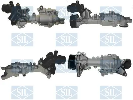 PA1813 SIL