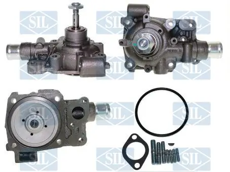 Precio del repuesto Motor de agua Mascott  camión plataforma/chasis