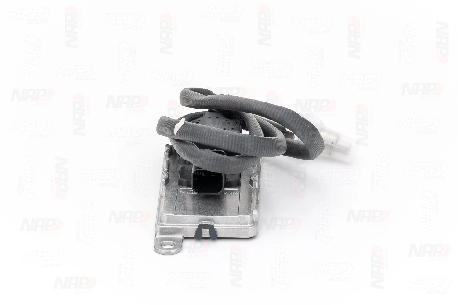 CNS10077 NAP