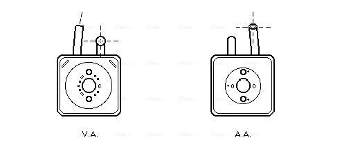 VN3089 AVA