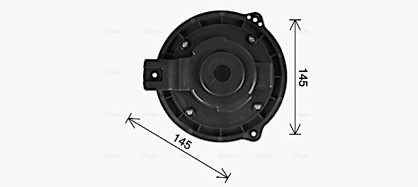 OL8728 AVA