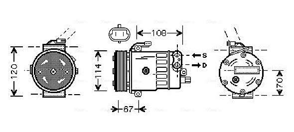 OLAK319 AVA