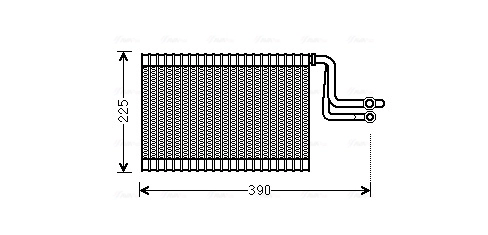 BWV365 AVA