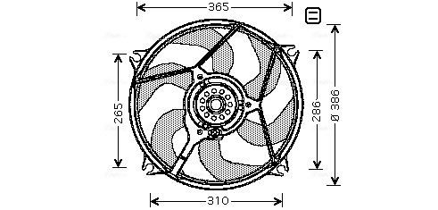 CN7531 AVA