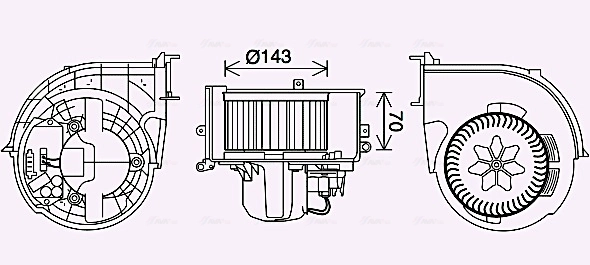 BW8574 AVA