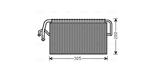 MSV486 AVA