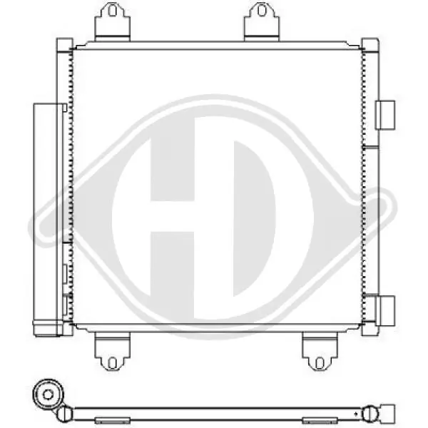 DCC2020 Diederichs