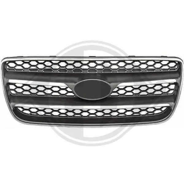 Rejilla para Hyundai Santa Fe II (CM)