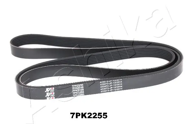 1612550380 Peugeot/Citroen Correa poly v