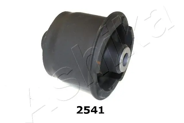 GOM2541 Ashika