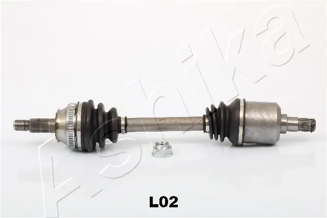 620LL02 Ashika