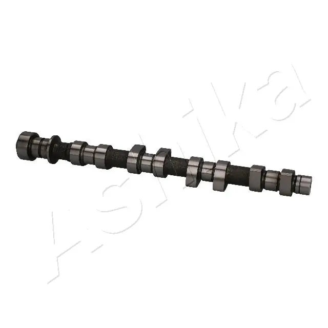 16DW003 Ashika
