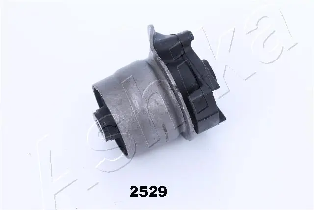 GOM2529 Ashika