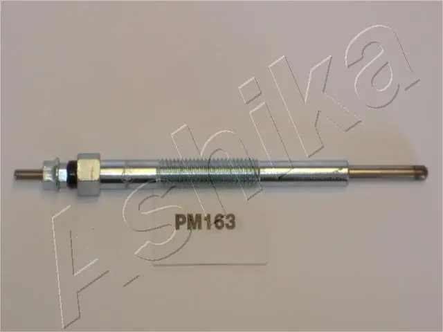 PM163 Ashika