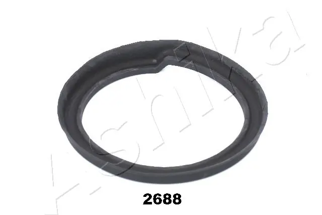 GOM2688 Ashika