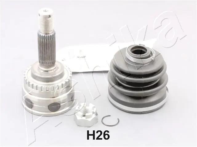 620HH26 Ashika