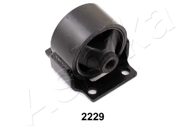 GOM2229 Ashika