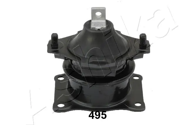 GOM495 Ashika
