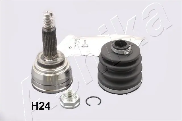 620HH24 Ashika