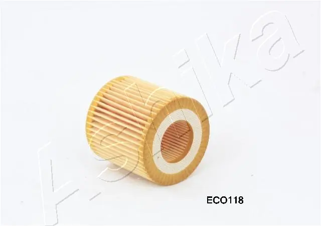 10ECO118 Ashika