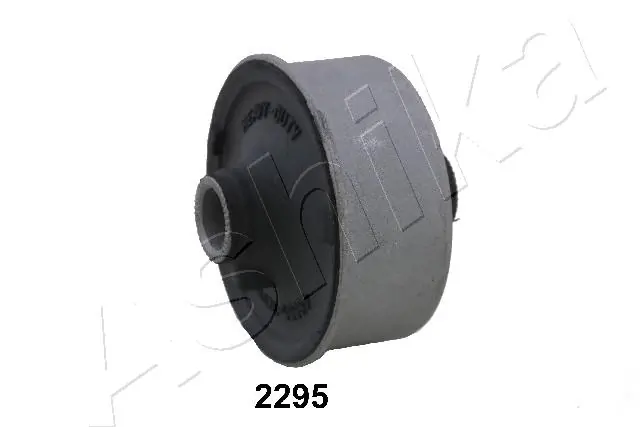 GOM2295 Ashika