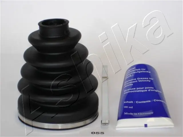6300055 Ashika