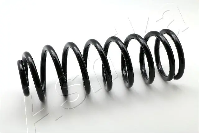 Muelle trasero Peugeot Expert  (1996-2006)