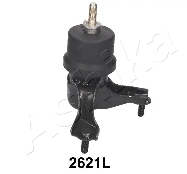 GOM2621 Ashika
