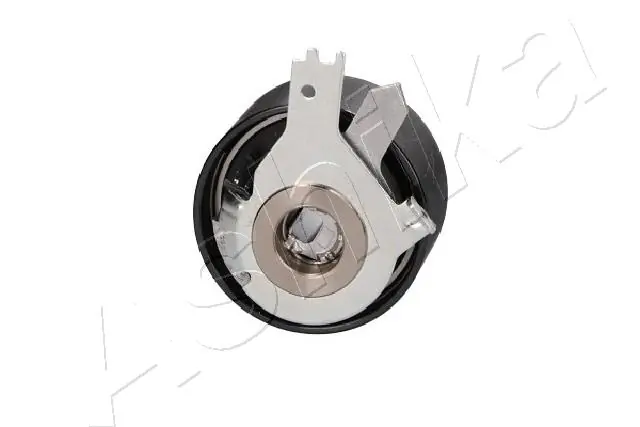 Rodillo, cadena de distribución Nissan Qashqai 2 J11