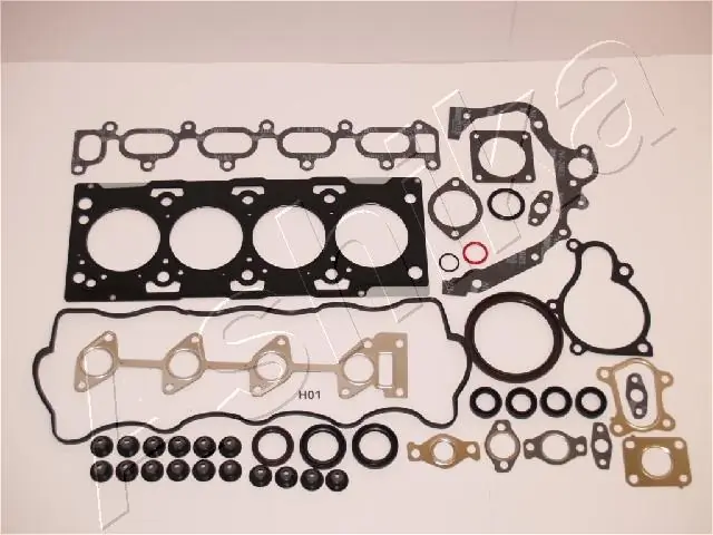 490HH01 Ashika