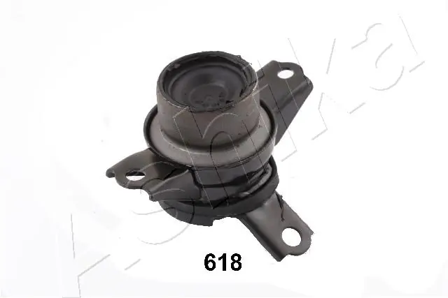 GOM618 Ashika