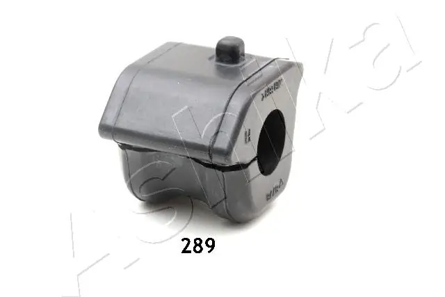 GOM289 Ashika