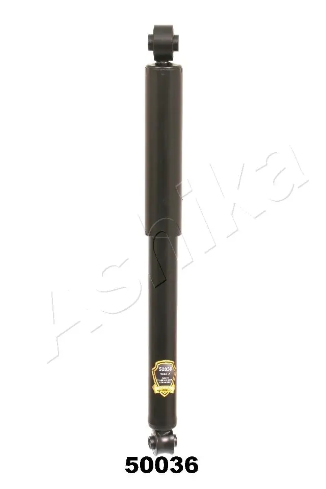 MA50036 Ashika