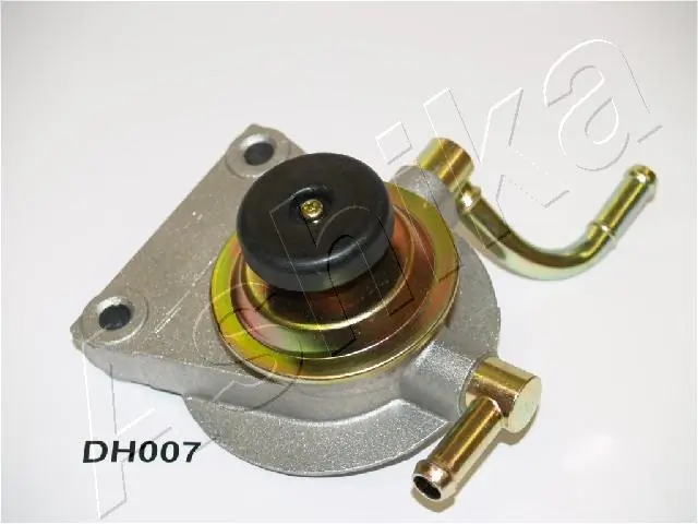 99DH007 Ashika