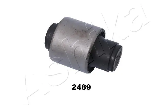 GOM2489 Ashika
