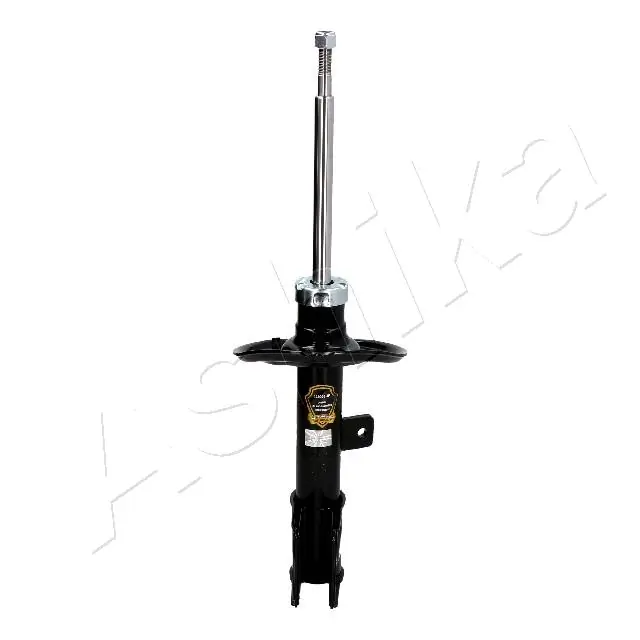 MA00991 Ashika