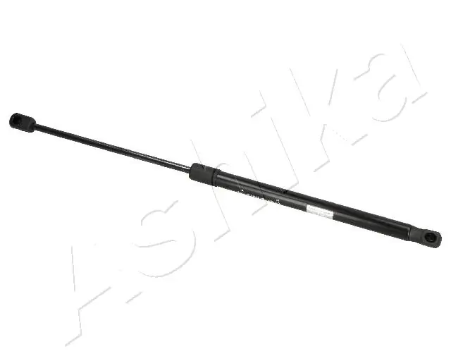 ZSA10050 Ashika