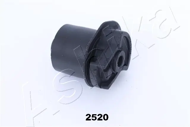 GOM2520 Ashika